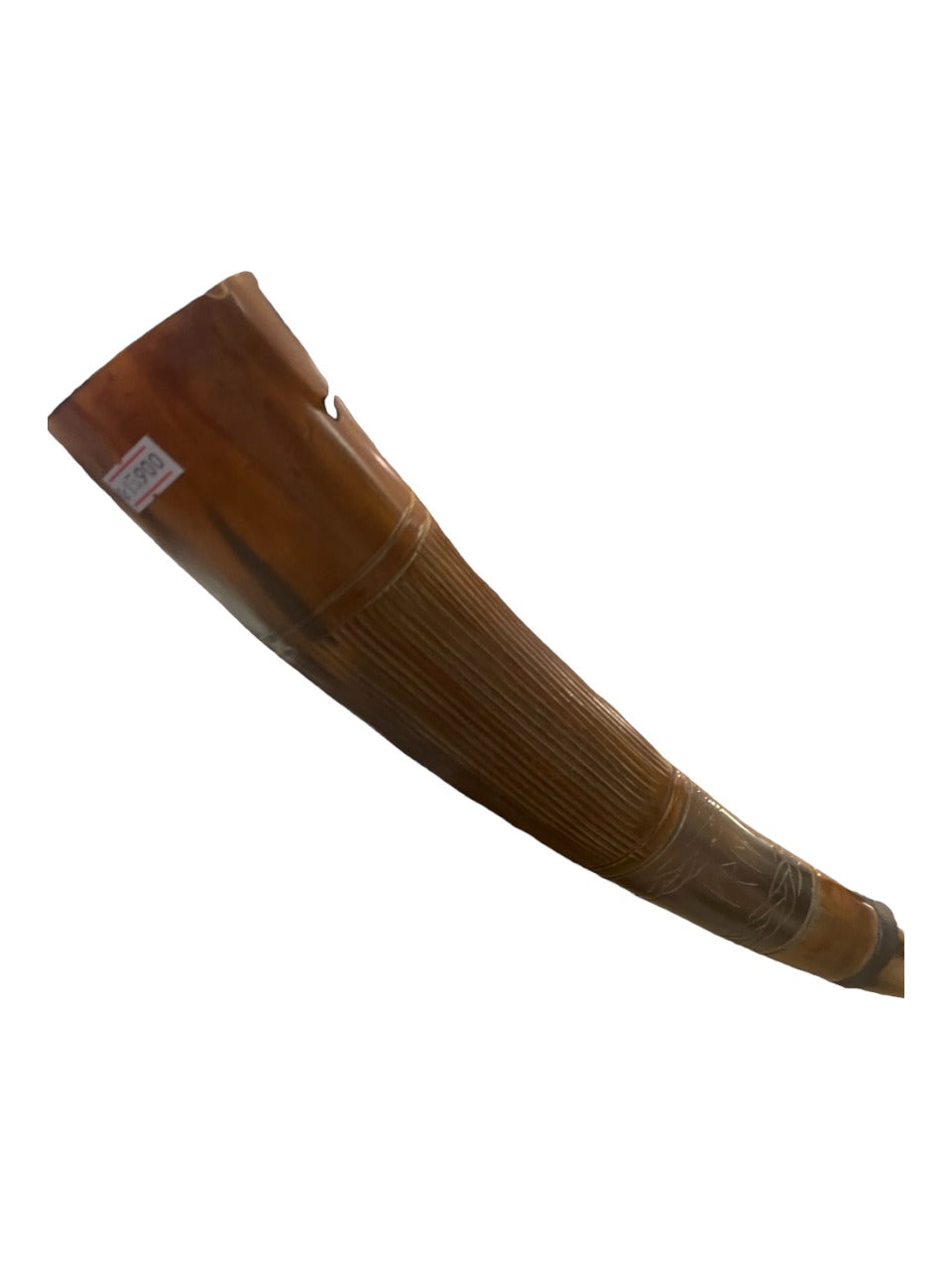 Brown horn Brown horn